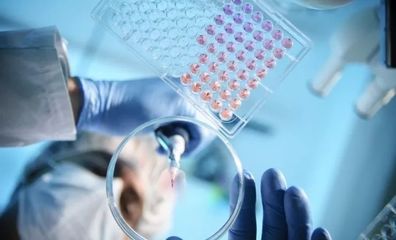 連接中日創(chuàng)投的橋梁 專訪36Kr Japan CEO中島嘉一談生物科技研究開發(fā)