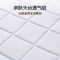 舒適睡眠新選擇 夢輕揚TH-01乳膠床墊與海馬喜贏門HM-009椰棕記憶床墊深度解析